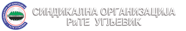 Синдикат РиТЕ Угљевик